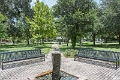 George Touhy Park-9743